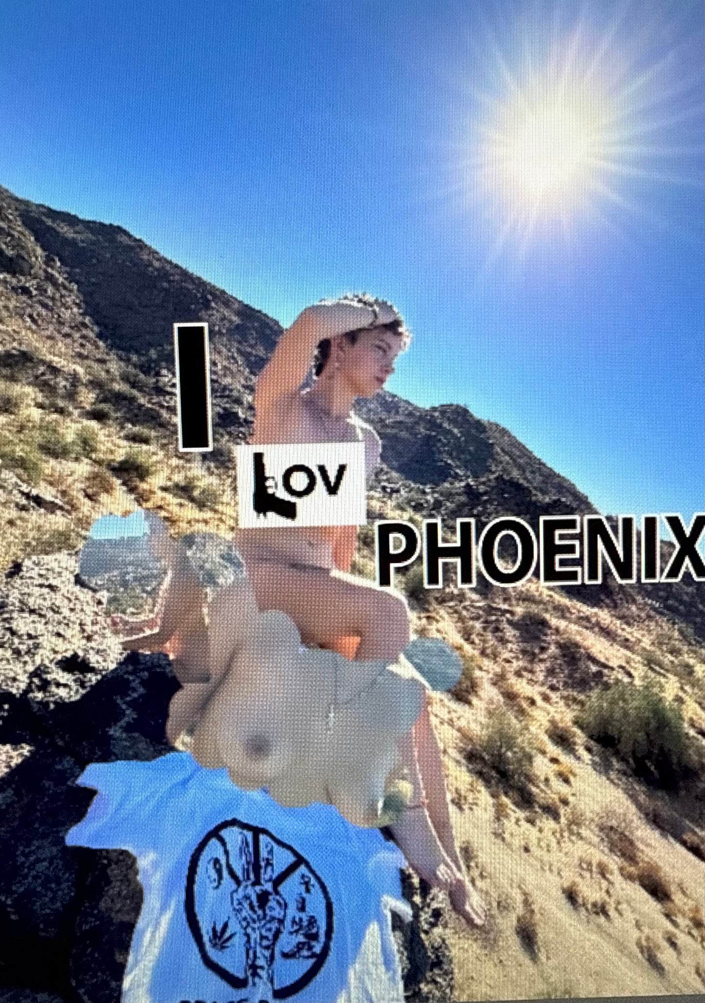 I 🔫ov Phoenix Tshirt