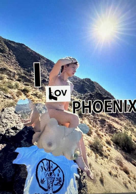 I 🔫ov Phoenix Tshirt
